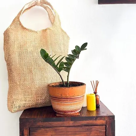 Apartment Casa Vintage Ctg *
